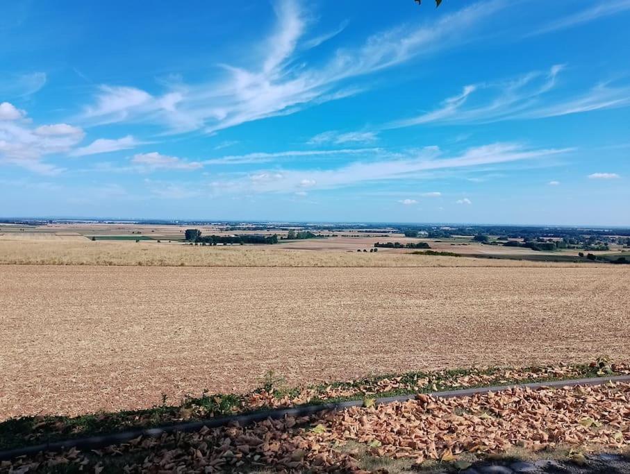 Apartament Loft Eifel Idylle Nettersheim Zewnętrze zdjęcie