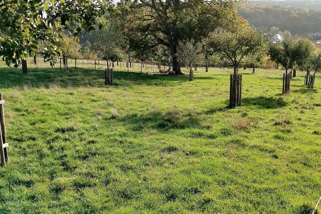 Apartament Loft Eifel Idylle Nettersheim Zewnętrze zdjęcie