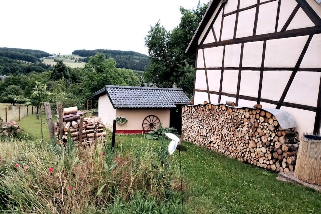 Apartament Loft Eifel Idylle Nettersheim Zewnętrze zdjęcie